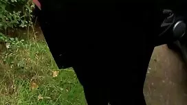 Ngạc phim sex hoc si ...
