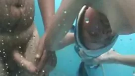 Cum Fiesta - - tất c ...