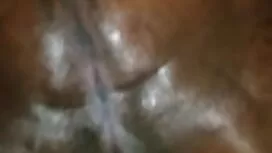 Ass-tại sao không se ...