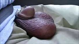 Mập mạp sex ko che n ...