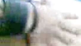 Xinh đẹp, tóc vàng,  ...