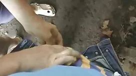 Shavelle tình Yêu, x ...